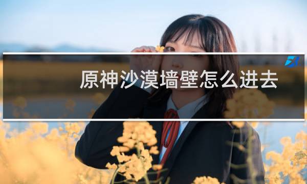 原神沙漠墙壁怎么进去