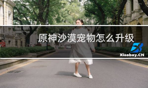 原神沙漠宠物怎么升级