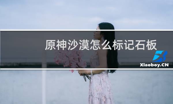 原神沙漠怎么标记石板