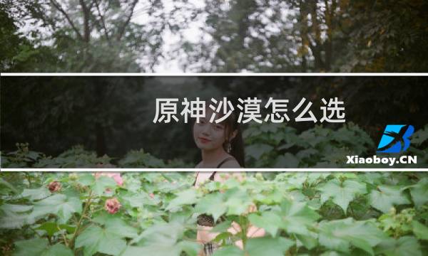 原神沙漠怎么选