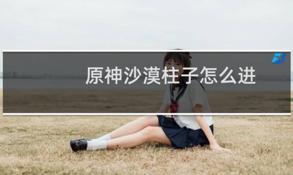 原神沙漠柱子怎么进