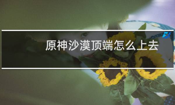 原神沙漠顶端怎么上去