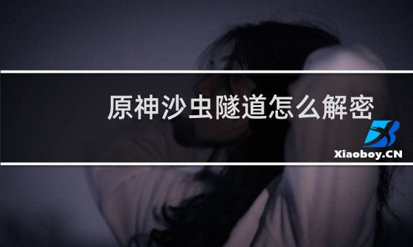原神沙虫隧道怎么解密
