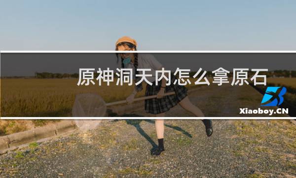 原神洞天内怎么拿原石