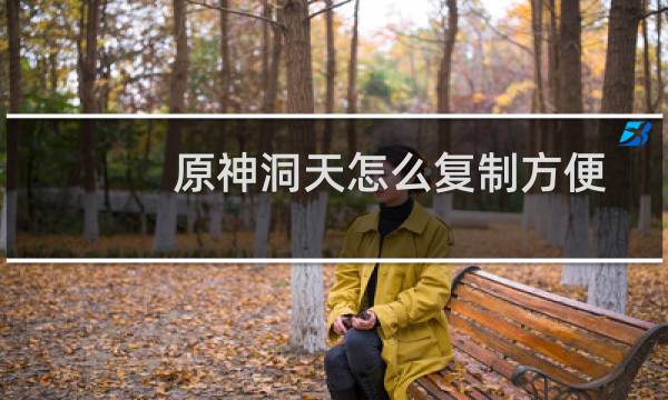 原神洞天怎么复制方便