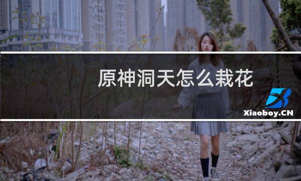 原神洞天怎么栽花