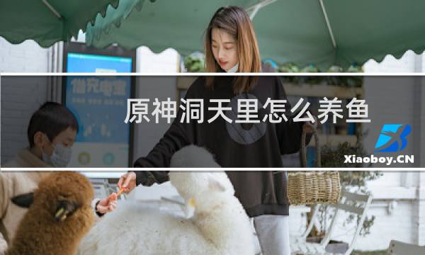 原神洞天里怎么养鱼