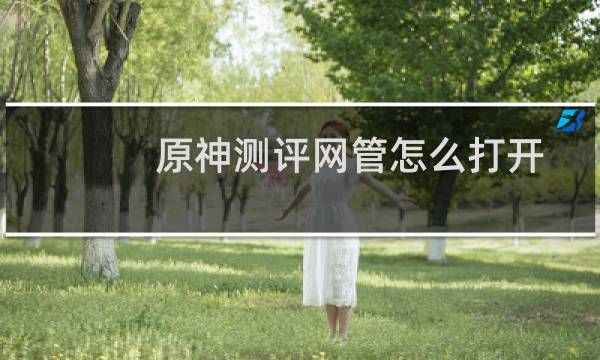 原神测评网管怎么打开