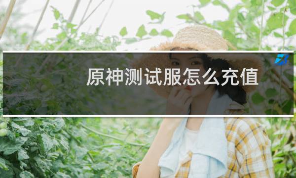 原神测试服怎么充值