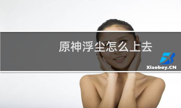 原神浮尘怎么上去