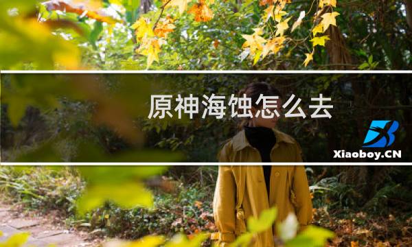 原神海蚀怎么去