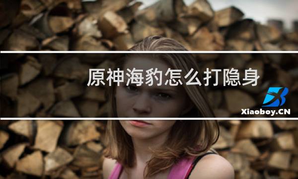 原神海豹怎么打隐身
