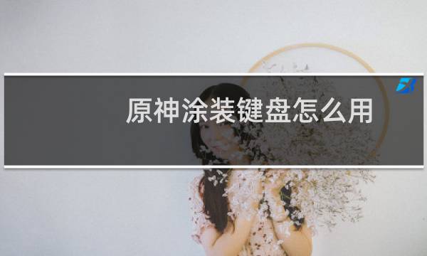 原神涂装键盘怎么用