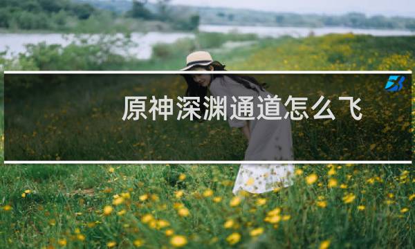 原神深渊通道怎么飞
