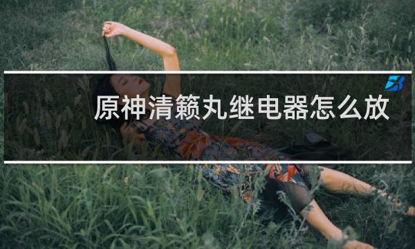 原神清籁丸继电器怎么放