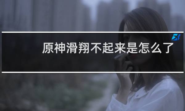 原神滑翔不起来是怎么了