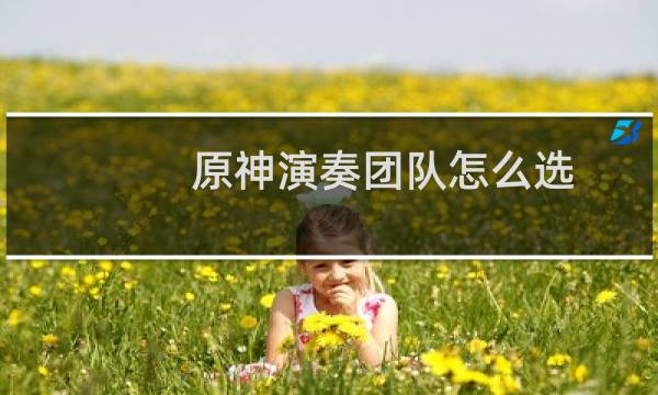 原神演奏团队怎么选