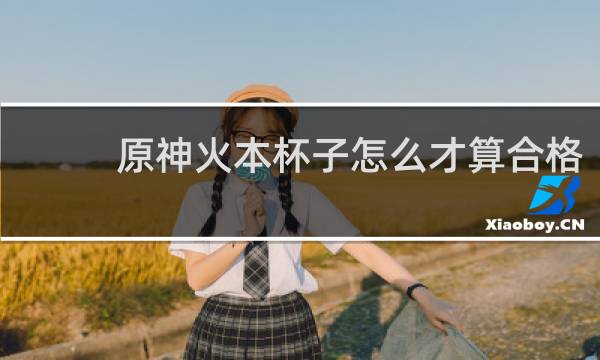 原神火本杯子怎么才算合格