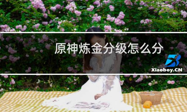 原神炼金分级怎么分