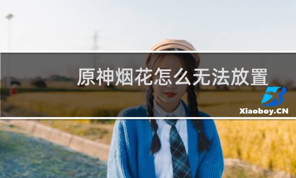 原神烟花怎么无法放置