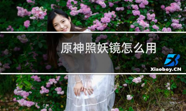 原神照妖镜怎么用