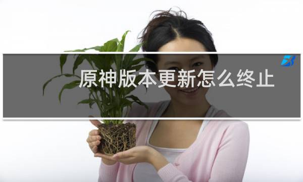 原神版本更新怎么终止
