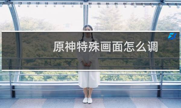 原神特殊画面怎么调
