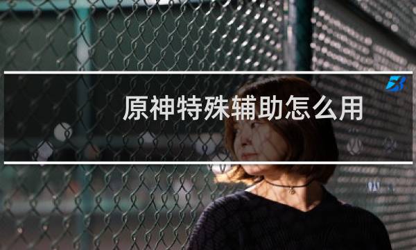 原神特殊辅助怎么用