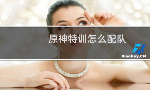 原神特训怎么配队