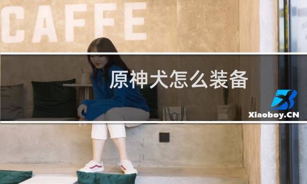 原神犬怎么装备