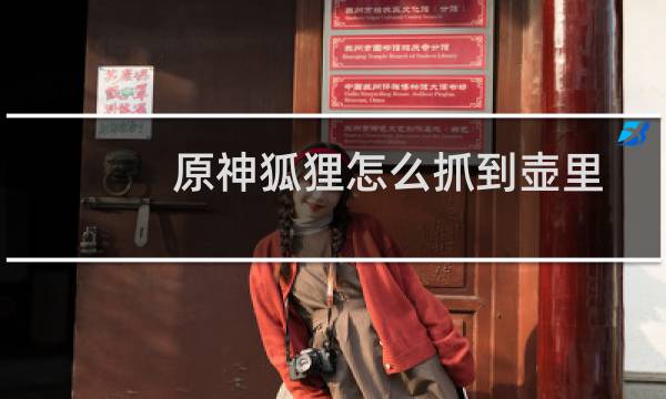 原神狐狸怎么抓到壶里