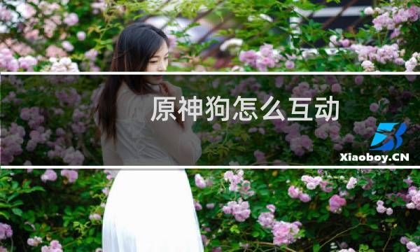 原神狗怎么互动