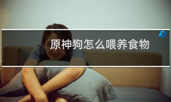 原神狗怎么喂养食物