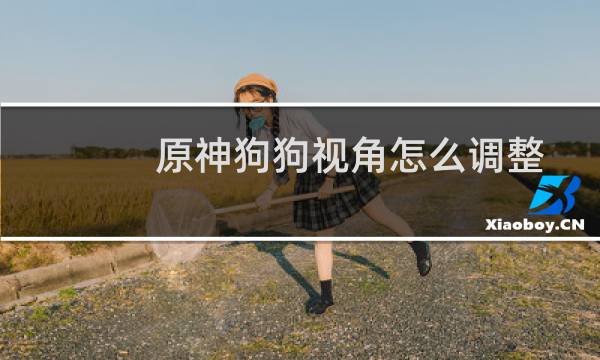 原神狗狗视角怎么调整