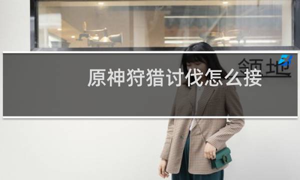 原神狩猎讨伐怎么接
