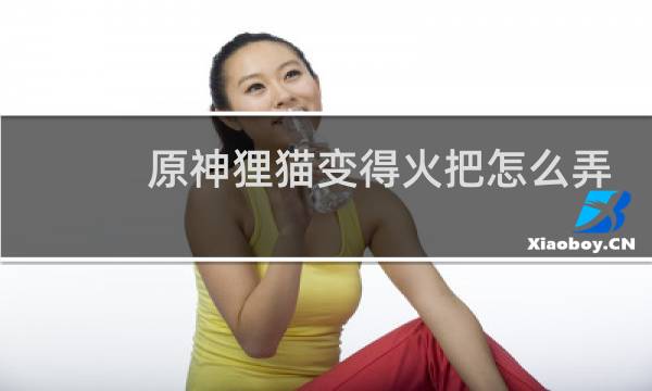 原神狸猫变得火把怎么弄