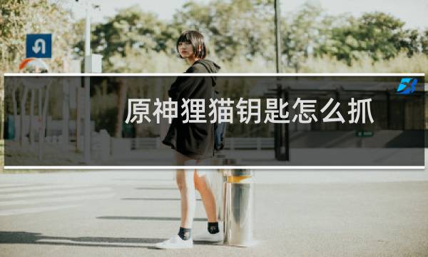 原神狸猫钥匙怎么抓