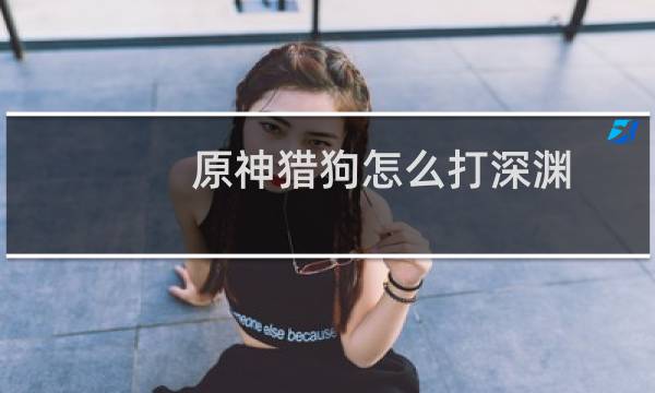 原神猎狗怎么打深渊