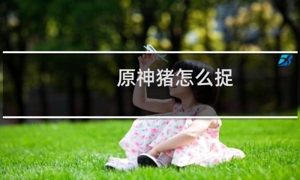 原神猪怎么捉