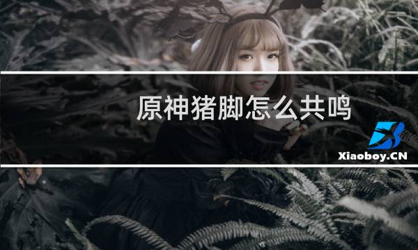 原神猪脚怎么共鸣