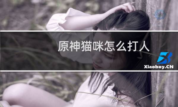 原神猫咪怎么打人