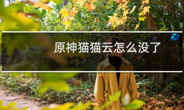原神猫猫云怎么没了