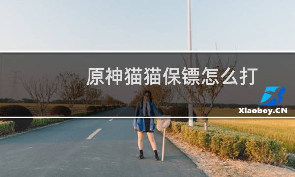原神猫猫保镖怎么打