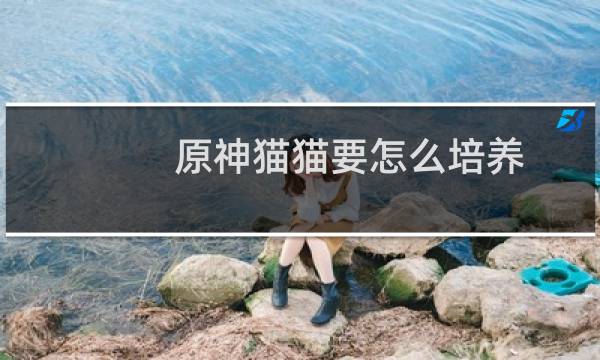 原神猫猫要怎么培养
