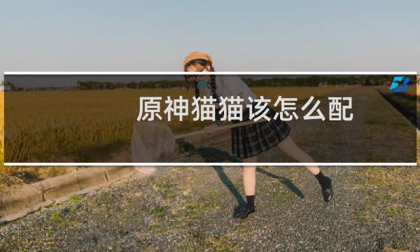 原神猫猫该怎么配