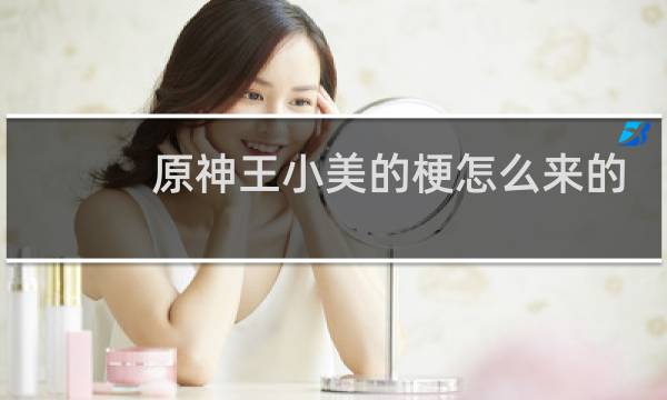 原神王小美的梗怎么来的