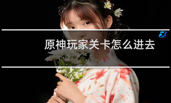 原神玩家关卡怎么进去