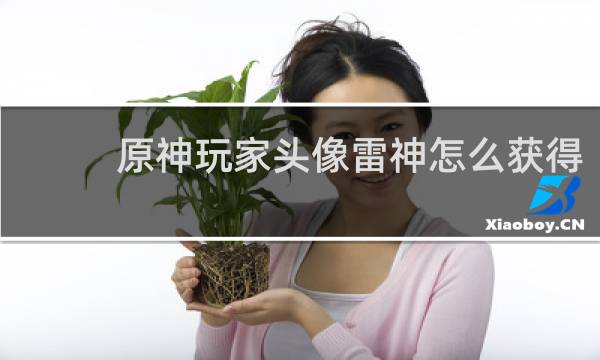 原神玩家头像雷神怎么获得