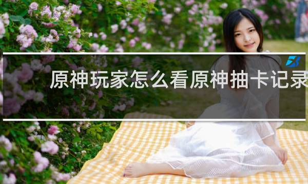 原神玩家怎么看原神抽卡记录