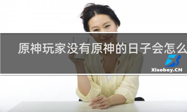 原神玩家没有原神的日子会怎么办